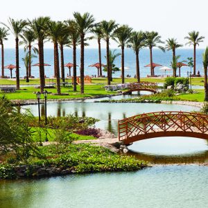 nufar_tours_Movenpick_Taba (6)